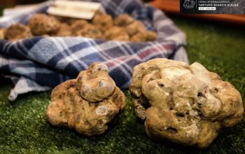Fiera-tartufo-bianco-alba