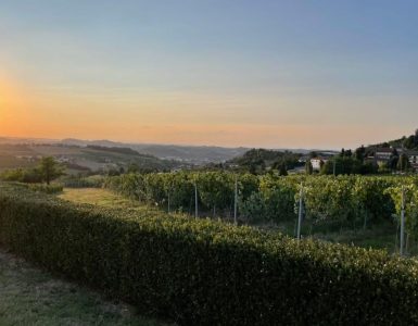 panorama lato nord